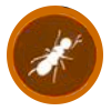Fourmis