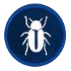 Insectes du bois
