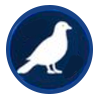 pigeons
