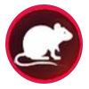 souris