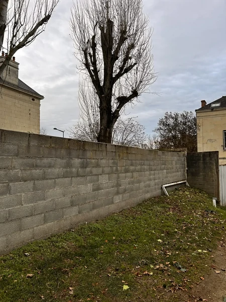 Photo après 6