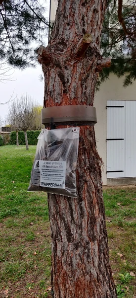 Photo après 182